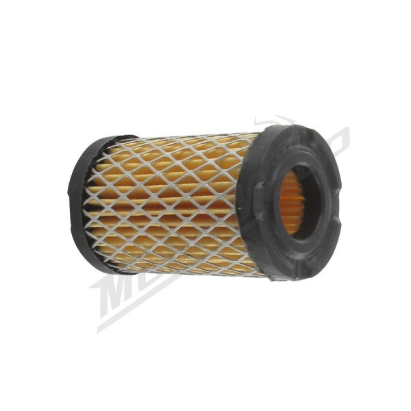 Eurogarden Air filter Tecumseh TVS / TC / ECV-H35