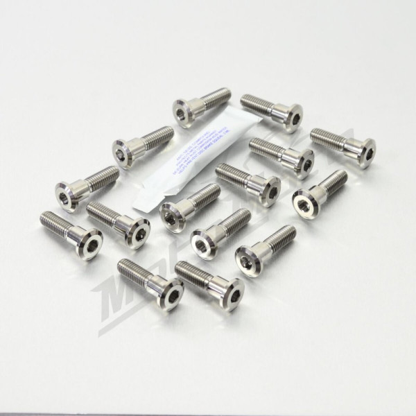 PRO BOLT Titanium Brake Rotor Mounting Bolt Kit Suzuki GSF / GSX / SV / TL 600-1400cc 96-07