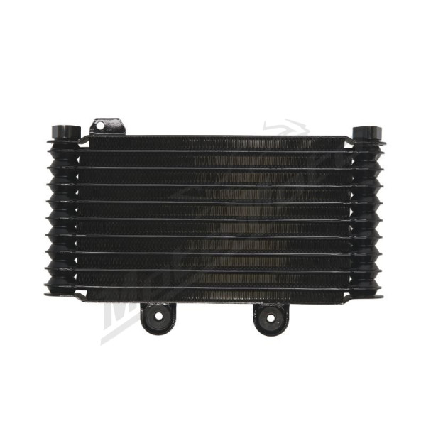 4Ride Radiator Suzuki GSF 600-650cc 95-06