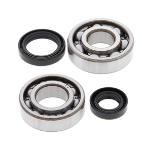 ALL BALLS Crankshaft bearings with seals Suzuki RM125 82-88