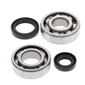 ALL BALLS Crankshaft bearings with seals Suzuki RM125 82-88