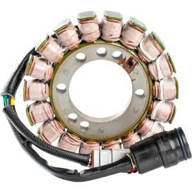 RICK'S MOTORSPORT ELECTRIC OE Style Stator Ski Doo GT 700 1997