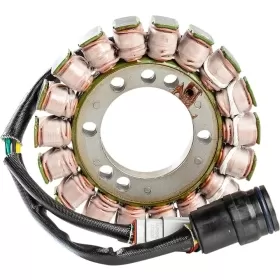 RICK'S MOTORSPORT ELECTRIC OE Style Stator Ski Doo GT 700 1997