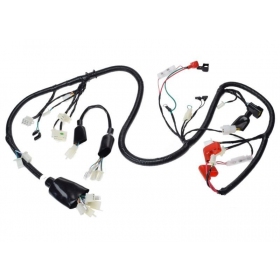 Wiring harness CHINESE SCOOTER/ LONGJIA LJ50QT-9 50cc