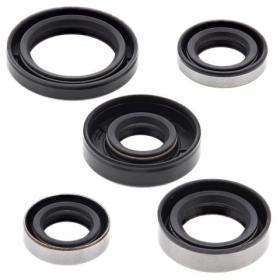 Winderosa (vertex) set (set) of engine seals Kawasaki / Suzuki 110 02-20