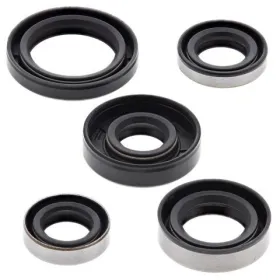 Winderosa (vertex) set (set) of engine seals Kawasaki / Suzuki 110 02-20