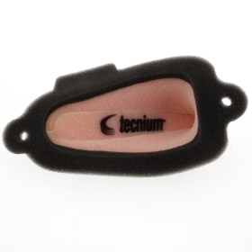 TECNIUM oro filtras Beta EVO 80-300cc 09-24