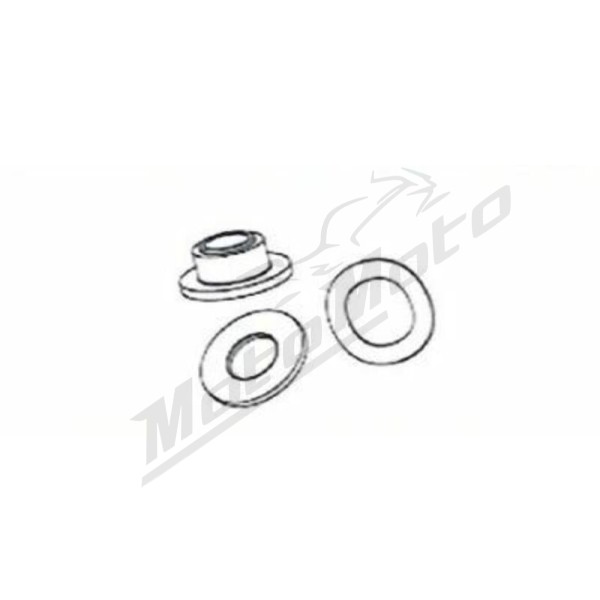 Additional rivet kit for Brembo brake disc