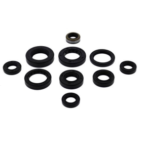 Winderosa (vertex) set of engine seals Honda ATC 200 81-87