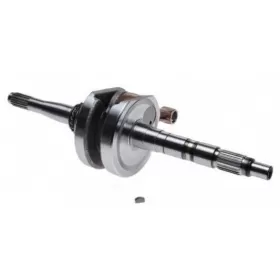 Crankshaft ATV BASHAN BS250S-5 PIN Ø16 4T