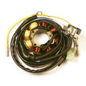 ELECTROSPORT Staror Honda CRF 250-450R 04-09