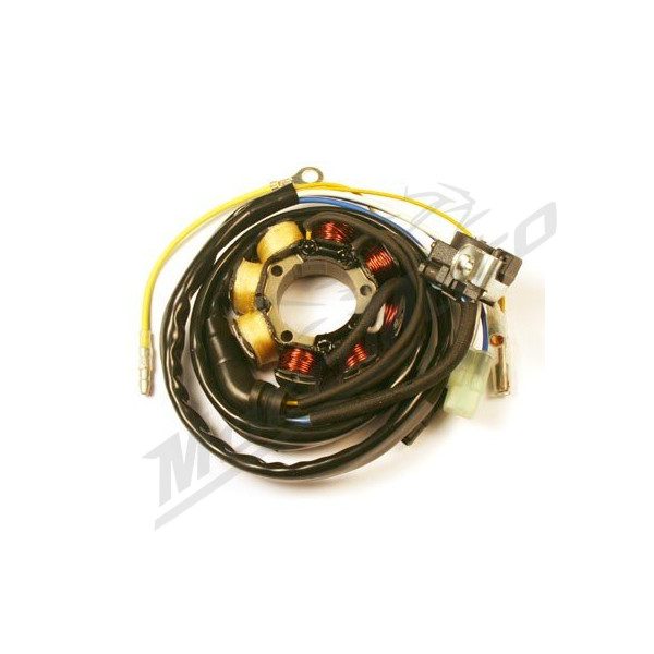 ELECTROSPORT Staror Honda CRF 250-450R 04-09