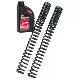 BITUBO šakių spyruoklės Yamaha XJ 900 S 95-01