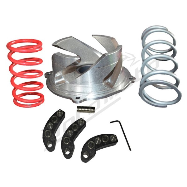 SPI Clutch Kit with adj.weights Polaris Axys RMK 800 2016-20