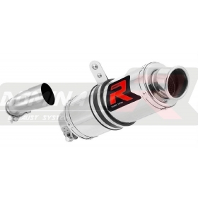 Exhaust silincer Dominator GP BMW R1200R 2010-2014