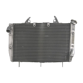 4Ride Engine radiator Yamaha YZF-R6 600 08-16