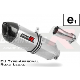 Exhaust silincer Dominator HP1 BMW R1250RS 2019-2020