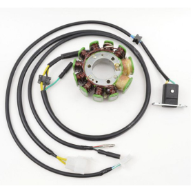 ELECTROSPORT Stator Honda CMX 250C Rebel 96-09