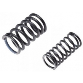 Valve springs SHINERAY ATV XY200ST-9 2pcs