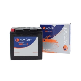 TECNIUM Battery Maintenance Free Factory Activated - BT14B-4 12V 12Ah