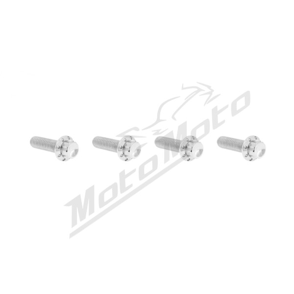 ARLEN NESS Transmission Top Cover Bolt Kit Silver Harley Davidson FLTRX / FLFB / FLHX / FLHXU 1868-1983 24-26