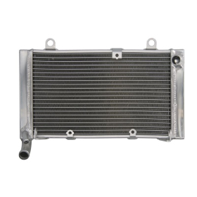 4Ride Radiator HONDA CBF 1000 2006-2010