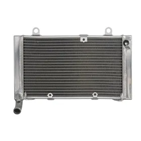 4Ride Radiator HONDA CBF 1000 2006-2010