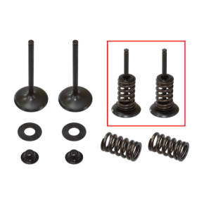 Psychic intake valves set Kawasaki KX-F / KFX 450cc 06-13