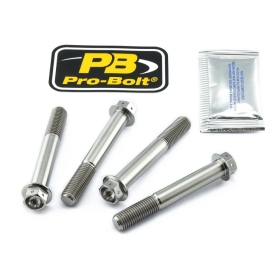 PRO BOLT Titanium Brake Caliper Mount Kit Kawasaki / Suzuki / Yamaha 600-1300cc 04-25