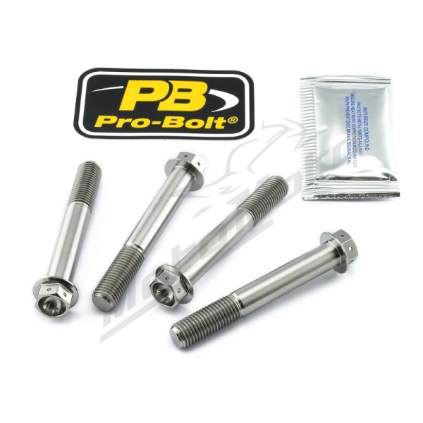 PRO BOLT Titanium Brake Caliper Mount Kit Kawasaki / Suzuki / Yamaha 600-1300cc 04-25