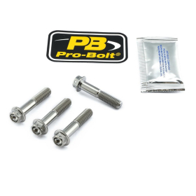 PRO BOLT Axle Pinch Bolt Kit Titan, Front Aprilia / Ducati / Gas Gas / Honda / Kawasaki / Suzuki / Yamaha 250-1300cc 90-21