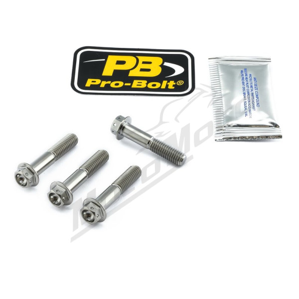 PRO BOLT Axle Pinch Bolt Kit Titan, Front Aprilia / Ducati / Gas Gas / Honda / Kawasaki / Suzuki / Yamaha 250-1300cc 90-21