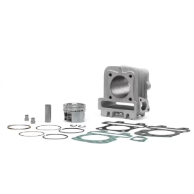 Cilindro komplektas MALOSSI 4T Ø49 Pirštas Ø13 Piaggio / Vespa / Aprilia / Derbi 50 00-25 AIR 4T