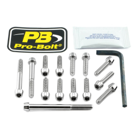 PRO BOLT Stainless Steel Engine Bolt Kit For Kawasaki ZZR 1400cc 12-20