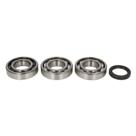 4Ride Crankshaft Bearing Kit Polaris ATP / Outlaw / Scrambler / Sportsman / Worker / Xplorer 400-525cc 97-11