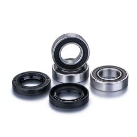 "FACTORY LINKS" Galinio rato guolių rinkinys AJP/KAWASAKI/YAMAHA/KTM/HONDA/SUZUKI