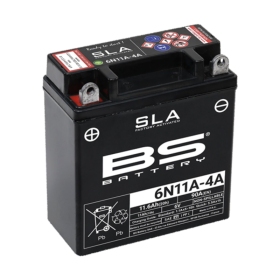 BS BATTERY SLA Battery Maintenance Free Factory Activated 6N11A-4A 6V 11Ah