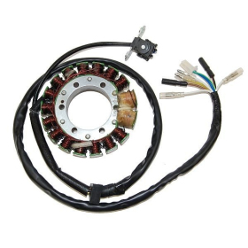 ELECTROSPORT Staror Honda XR 400-650R 96-07