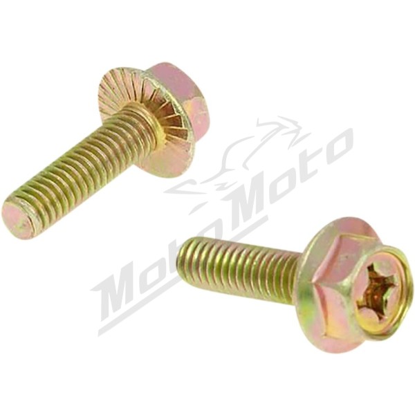 101 OCTANE Exhaust Screws 2vnt M6x16