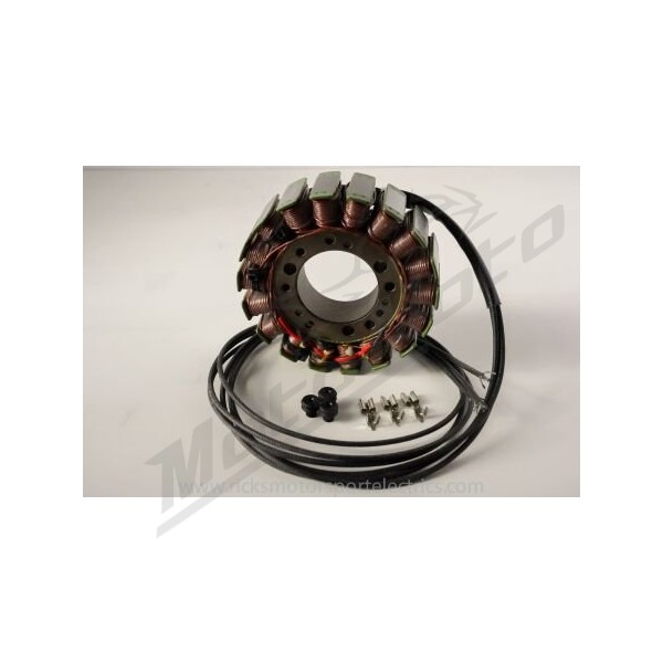 RICK'S MOTORSPORT ELECTRIC OEM Style Stator TGB Blade / Target 325cc 10-14