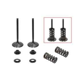 Psychic intake valves set Husqvarna / KTM 350cc 12-19