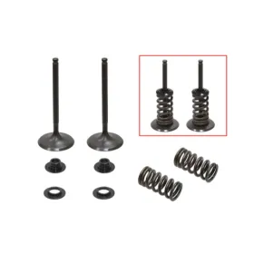 Psychic intake valves set Husqvarna / KTM 350cc 12-19