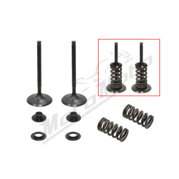 Psychic intake valves set Husqvarna / KTM 350cc 12-19