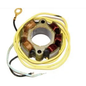 ELECTROSPORT Stator Gas Gas EC 200-300 99-07