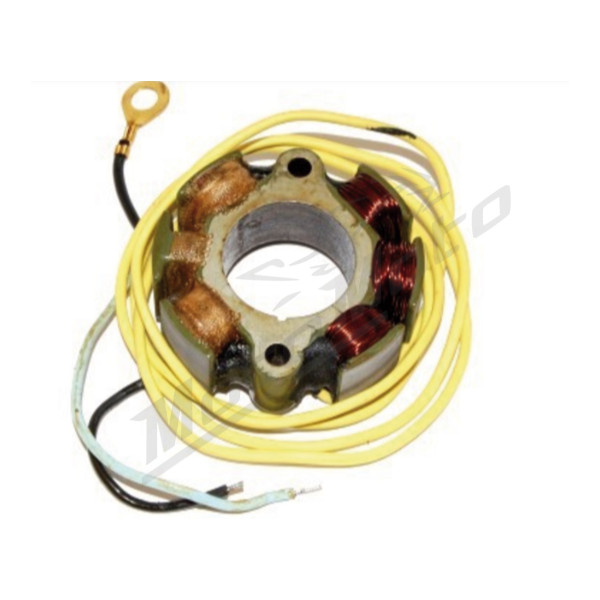 ELECTROSPORT Stator Gas Gas EC 200-300 99-07