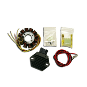 Electrex generatoriaus apvijos su srovės lygintuvu KTM / Husaberg / Husqvarna 144-300cc 08-17