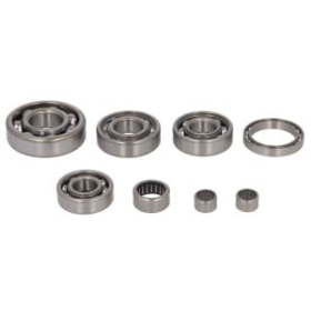 Hot Rods Transmission Bearing Kit Honda Pioneer / TRX 420-520cc 07-25