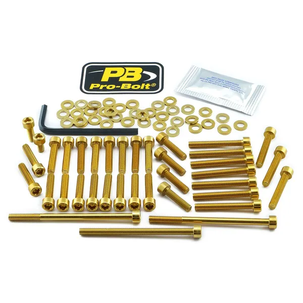 PRO BOLT Aluminium Engine Bolt Kit For KTM Adventure 1190cc 13-16