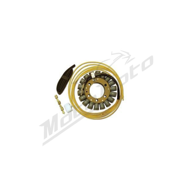 Electrex Generatorius Honda / Triumph / Kawasaki 750-1200cc 88-06