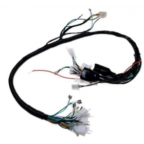 Wiring harness Kingway Chopper 4T